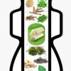 Herbal Sanitary Pads - Image 2